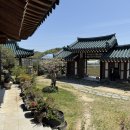 카페248 | 울산 청량248 분위기 좋은 청량읍 카페 주차 및 방문 솔직 후기