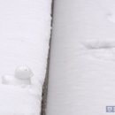 오리한마리 이미지