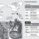 월드자원 서울신문