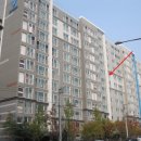 덕진-115 이미지