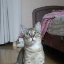 재송2동-12 이미지