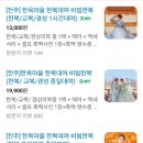 파란마을 | 전주 한옥마을 한복 대여 비빔한복 대만족 후기