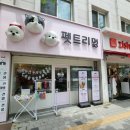 펫트리멍 이미지