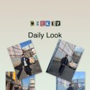 더카센티노 | 1월 마지막주 데일리룩!! 카센티노 울과 울파일을 곁들인