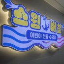 스윔버블 이미지
