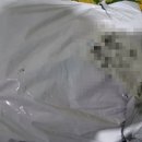 [타오바오 배대지] 애플박스 이용후기(내돈내산🤎)