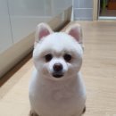 살롱드몽몽 이미지