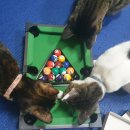 상아당구장 이미지