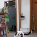 이든동물병원 이미지