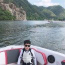 엠알렌트카여행사 이미지