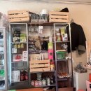 플라스틱가드너 이미지