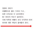 성지스포렉스 이미지