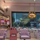 샤론헤어 - 남동구 도림동 | 서울롯데월드 공주체험 샤론캣(5살후기)