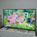98 | 수원만석공원카페 해피스윗98 글루텐프리 베이커리...대여해주는 감성카페 테이크아웃 후기(+걸스나잇)