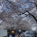 사랑아멍멍해 이미지