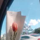 카페 하이(Cafe Hi) 이미지