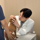 압구정 동물의료센터 이미지