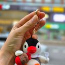 마포-현장-마포-1461 | 핑구 키링 투썸플레이스 핑구 키링 내돈내산 (머그핑구, 스초생핑가 실물 후기는?) 리뷰