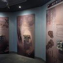 대구약령시한의약박물관 이미지