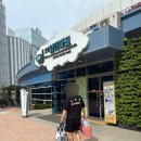 (주)수경약품 | [평택] 경기도 아이랑가볼만한곳 평택오썸플렉스 실내워터파크 6개월아기이용후기