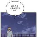 슈플리