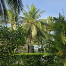 나트랑 여행 이미지