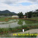 광천IC