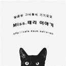 멸치의 미스테리 이미지