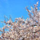 창리 쉼터 이미지