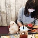 니즈커피 이미지