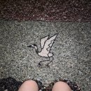 태백산 보석사우나 이미지