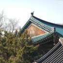세종시 영평사 템플스테이 후기 ( 코닥 차메라 후기를 곁들인,,,, )