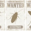 팅커벨 이미지