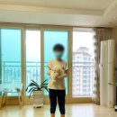 양저리 | 용인/동탄애견분양 비숑프리제분양후기정보는 전문견사마리켄넬!