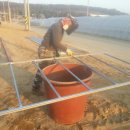 용순농장 이미지