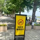 세븐일레븐 아산염치송곡점 | 충남 아산 가볼만한곳 곡교천 은행나무길 산책로 주차장