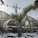 느리게 스테이 이미지