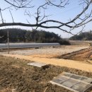 머시쏘농장 이미지