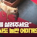 Be동물병원