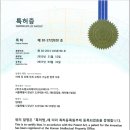 닥터코르셋