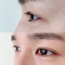 올리브영 뷰러 추천템! &#39;루이본 쓰리쎄븐 아이래쉬 컬러&#39; 찐사용후기
