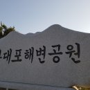 다대해수욕장 Daum카페