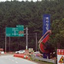 대하프라자 수협 앞 | 안면도 대하철 필수 코스｜백사장항 수협 위판장 자연산 대하 먹는 꿀팁