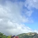 송선로-8 이미지