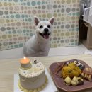 멍냠멍냠 이미지