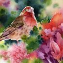 컬러풀 수채화 이미지