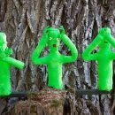 신고의무자 및 관련 종사자를 위한 인신매매등 피해자 식별과 보호·지원 | 장애인복지법 일부개정(2025.11.11.)으로 확대된 장애인학대 신고의무: 배경과 의미 톺아보기