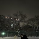 다미국시 이미지