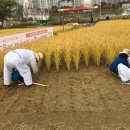 함줄공원 이미지