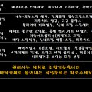 다온디테일링카